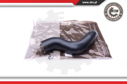 24skv958 esen skv charger - esen,