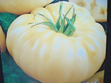RUSSIAN TOMATO SEEDS "WHITE SUGAR" UNUSUAL LARGE CREAM-WHITE FRUITS