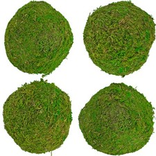 Decorative Moss Balls, Real