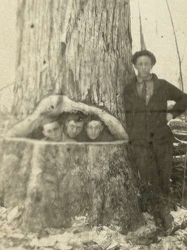 Antique photo young man a - antique,