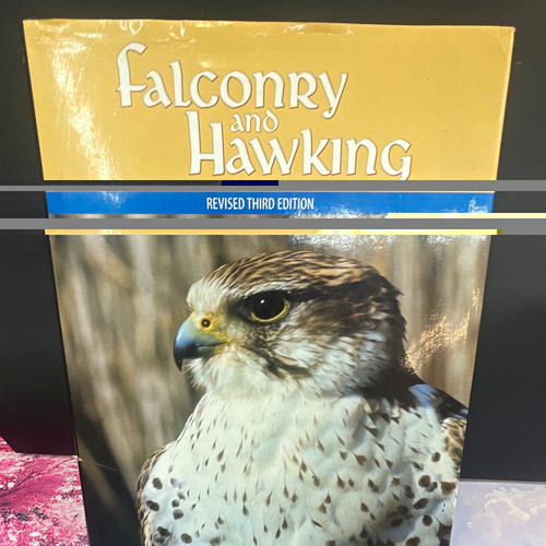 Falconry and hawking - and,