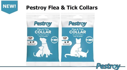 Bob martin pestroy flea tick - martin, &