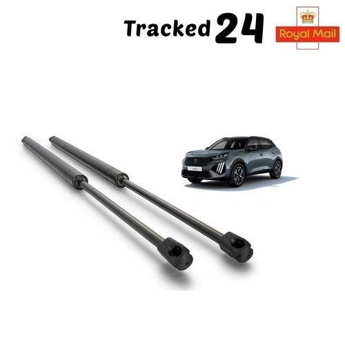 Rear tailgate boot gas - gas, struts