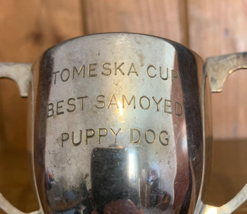 Best samoyed puppy dog - dog, vintage
