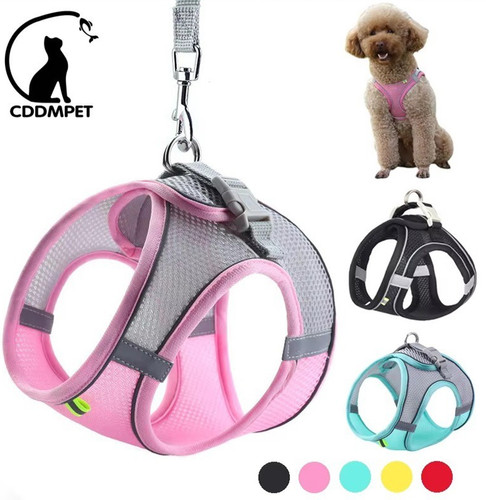 Puppy cat vest - puppy,