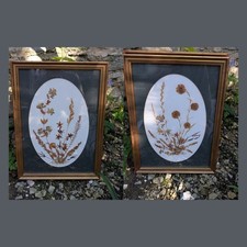 2 x Vintage Dried Flower