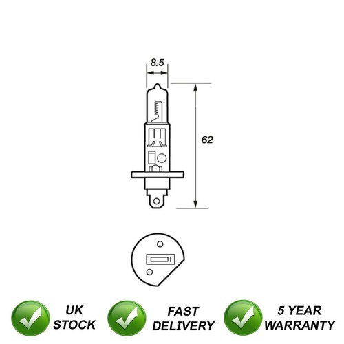 Bulbs manual front sjr - front,
