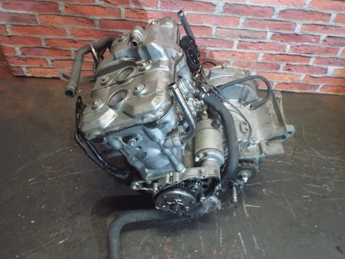 Honda cbr600 cbr 600 jelly - cbr,