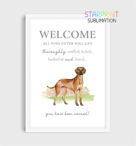 Rhodesian ridgeback unframed - rhodesian,