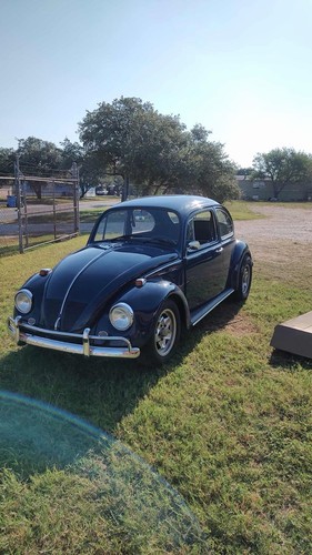 1967 volkswagen beetle - 1967,
