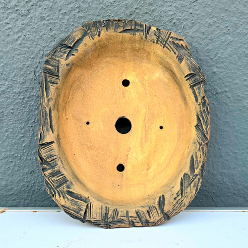 Cc37 weathered earth - cc37,