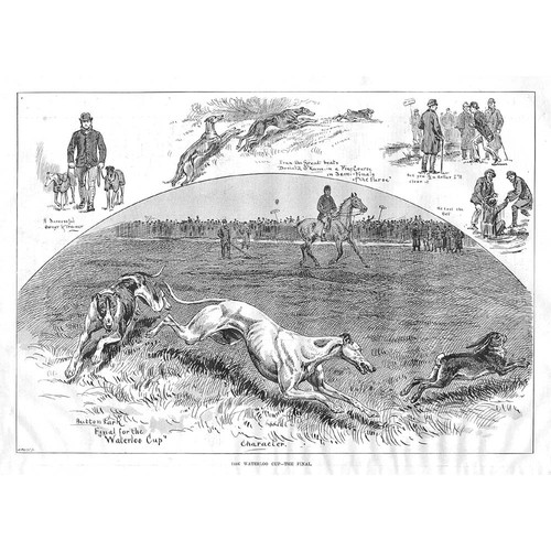 Coursing the waterloo - the, cup