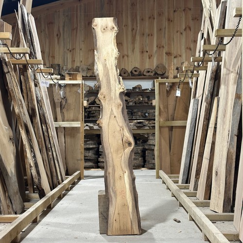Oak plank board - oak, live