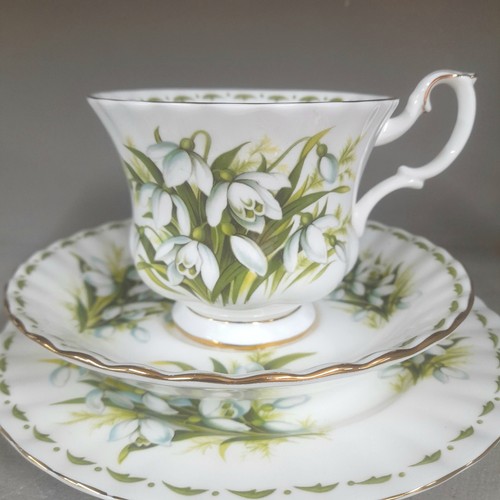 Royal albert flower the - flower,
