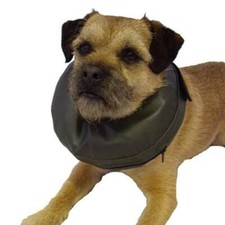 Comfy Collar Anti Scratch/Lick/Bite | Dogs