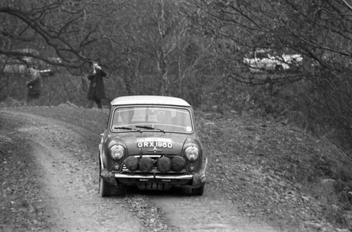 Mini cooper 1966 rally car - mini,