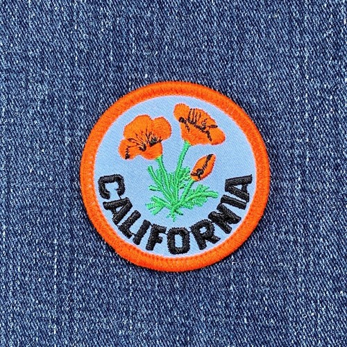 California poppy patch - california,