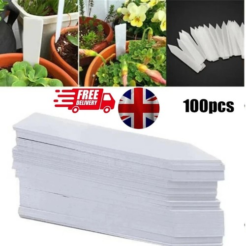 100 plant label white plastic - 100,