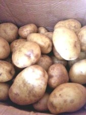 Jacket /Bakers Potatoes from