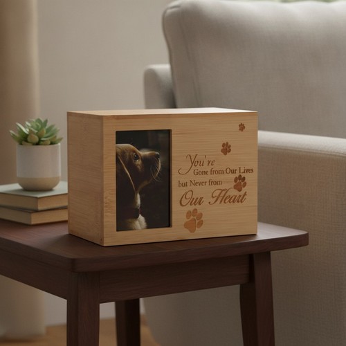 Elegant bamboo pet - elegant,