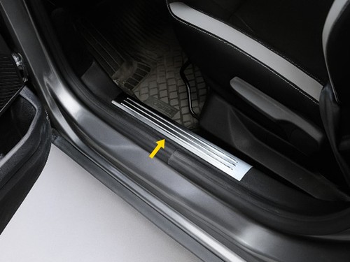 Chrome door sill protector - door,