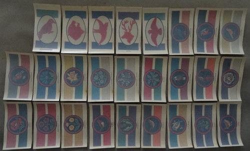 Boy scout girl guide - &,