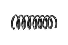 Coil Spring Rear Fits