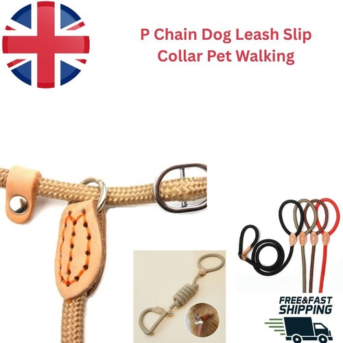 Dog leash slip rope lead - dog,