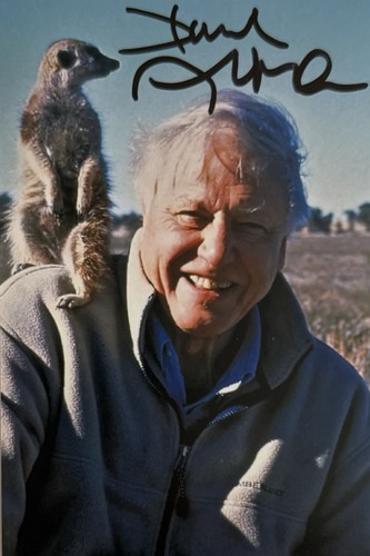 Genuine sir david attenborough - sir,