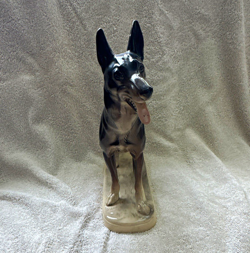Alsatian german shepherd - alsatian/german, dog