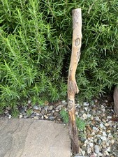 57cm long UNUSUAL DRIFTWOOD BRANCH Sea Wood Art Knot Display Sculpture Terrarium