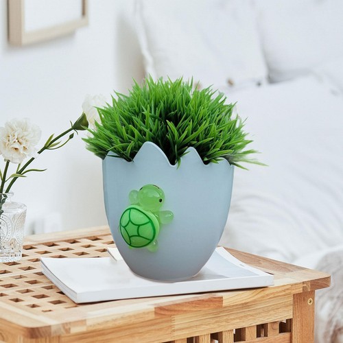 White eggshell plant - white, pot