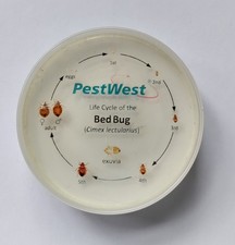 bed bug life cycle resin (by Cimex Store) varying logo and quality