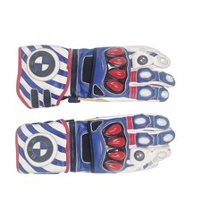 Bmw motorrad racing gloves - bmw,