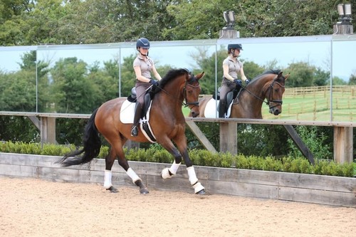 Dressage training mirrors - training,