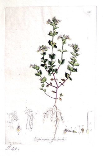 Original 1777 antique - original,