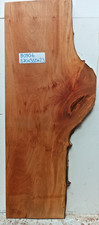 870x350x23mm Planed London Plane/Lacewood Hardwood Timber Plank 190906