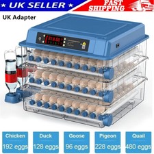 192x Egg Incubator Temperature
