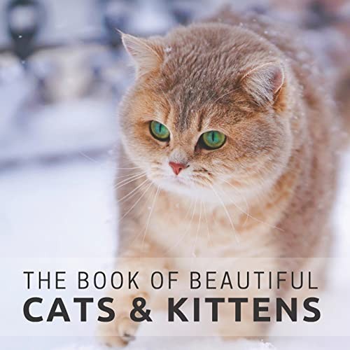 Pretty pine press - pretty, book