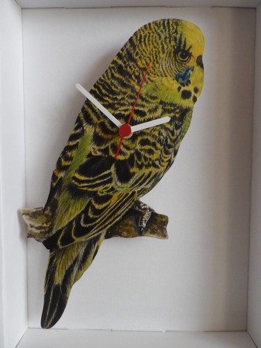Green budgie wall clock - budgie, new