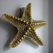 Aged Solid Brass Starfish Door