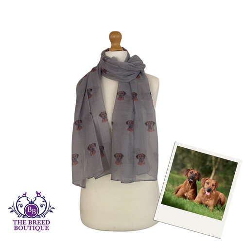 Rhodesian ridgeback dog - rhodesian,