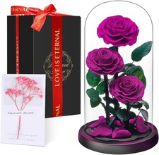 Preserved Rose Valentines Day