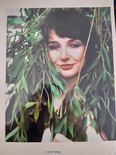 Kate bush signed photo - kate,