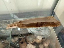 Ancient Neolithic Magdalenian