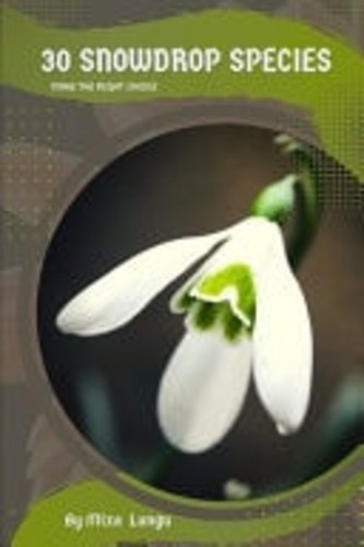 Snowdrop species make - 30,
