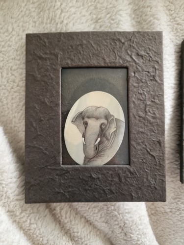 Elephant portrait bone - on,