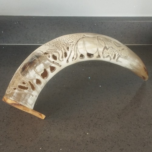 Water buffalo horn mounted - mounted, on