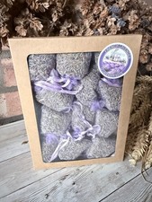 12 Premium French Lilac
