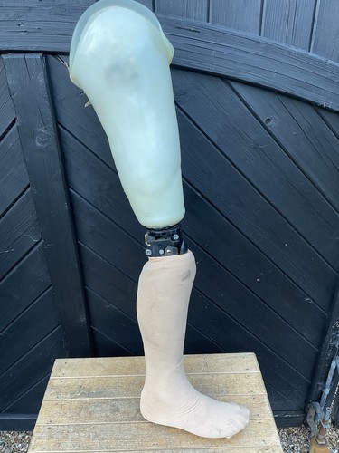 Used esk endolite - endolite, prosthetic